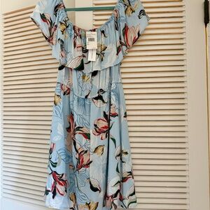 cupcakes & cashmere Floral On/Off-Shoulder Mini Dress L